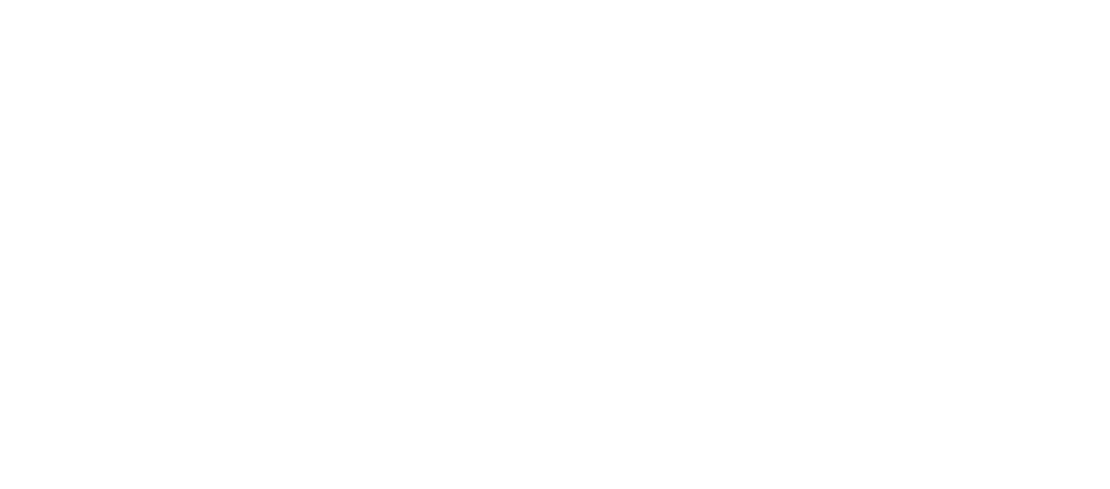 SX Architecture